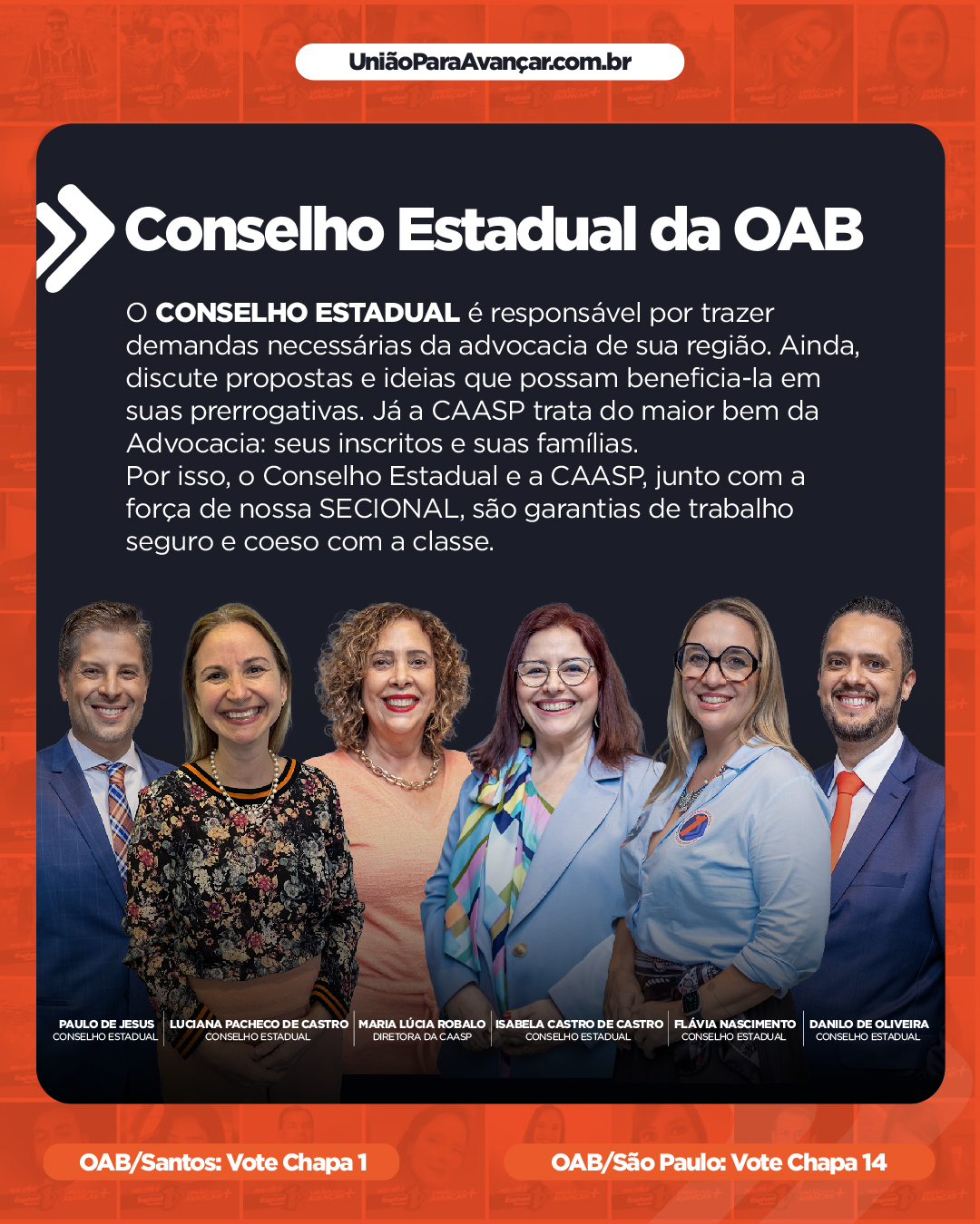 POST-INTEGRANTES-OAB Santos e OAB SãoPaulo-11